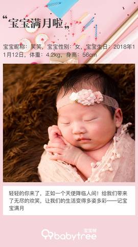 journal_insert_pic_1146780739