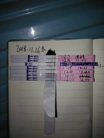 journal_insert_pic_1146785828