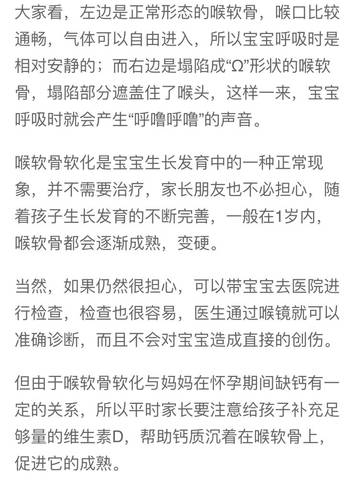 journal_insert_pic_1147091616