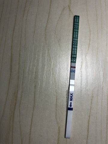 journal_insert_pic_1147278034
