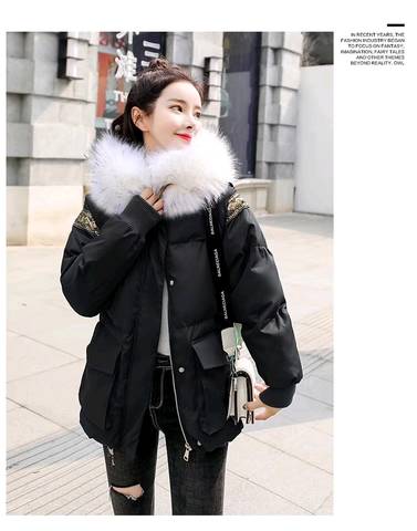 journal_insert_pic_1147500134