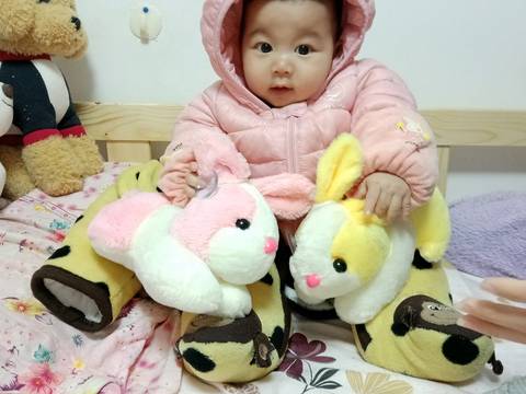 journal_insert_pic_1147835525