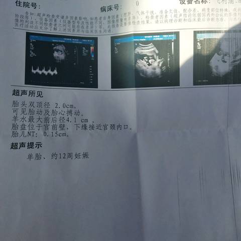 journal_insert_pic_1148060973