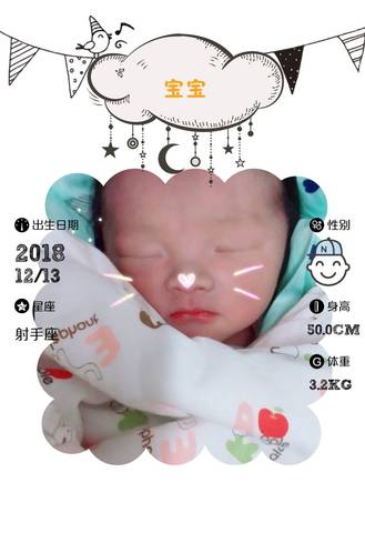 journal_insert_pic_1147981478