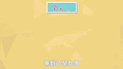 journal_insert_pic_1148268077