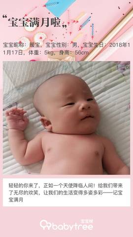 journal_insert_pic_1149284430