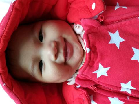 journal_insert_pic_1149982560