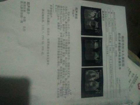 journal_insert_pic_1149890462