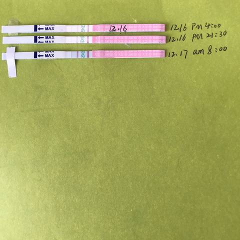journal_insert_pic_1149604580