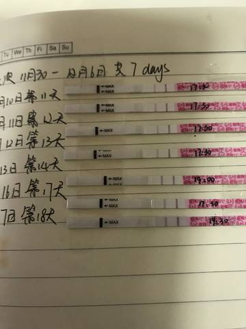 journal_insert_pic_1149872719