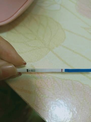 journal_insert_pic_1149884392