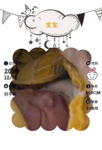 journal_insert_pic_1150201003