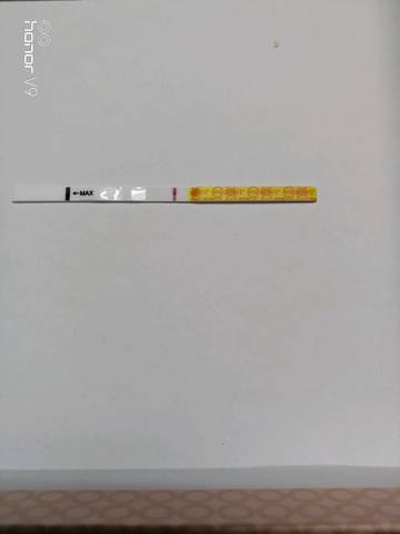 journal_insert_pic_1151029291