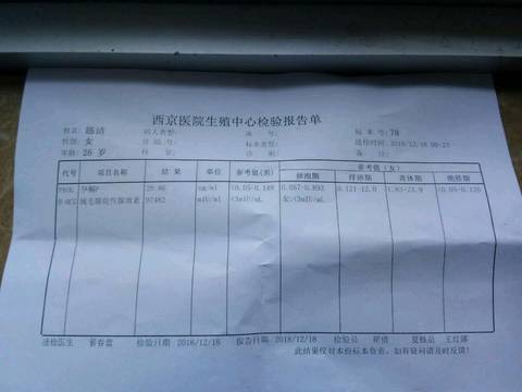 journal_insert_pic_1150718732