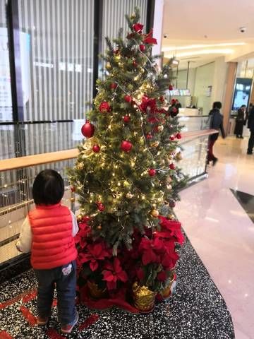 journal_insert_pic_1151208514