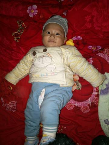 journal_insert_pic_1151335157