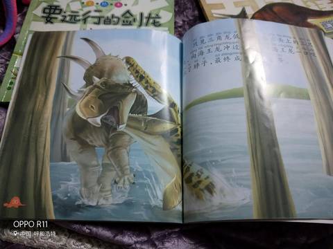journal_insert_pic_1151582448