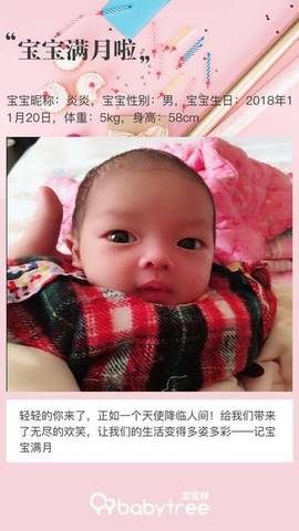 journal_insert_pic_1151425740