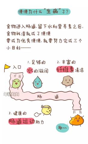journal_insert_pic_1151869946