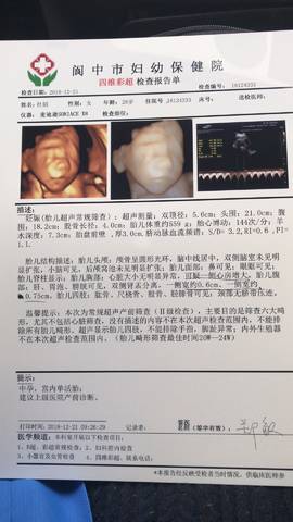 journal_insert_pic_1152636160