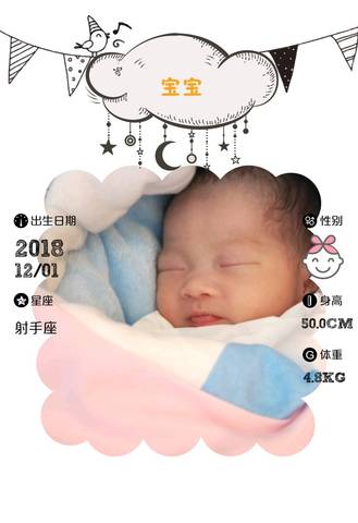 journal_insert_pic_1152206822