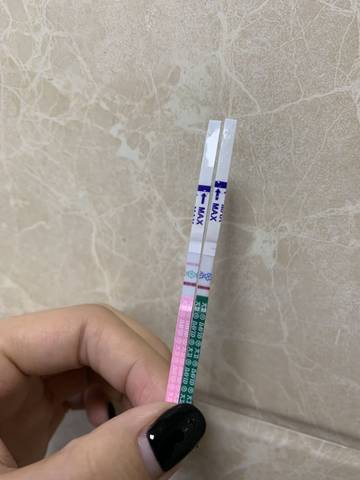 journal_insert_pic_1152254471