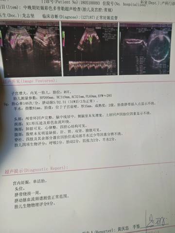 journal_insert_pic_1152426443