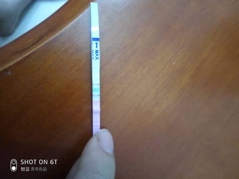 journal_insert_pic_1152560115