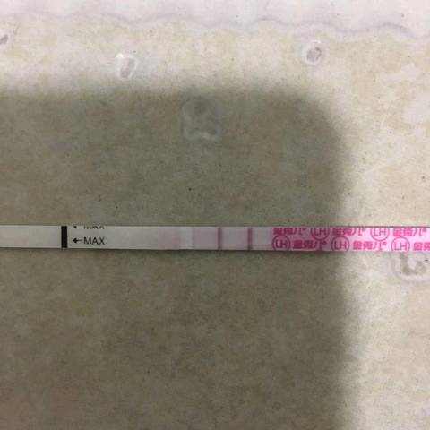 journal_insert_pic_1152245556