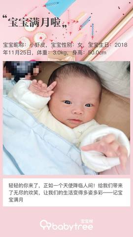 journal_insert_pic_1152249357