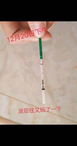 journal_insert_pic_1152774566