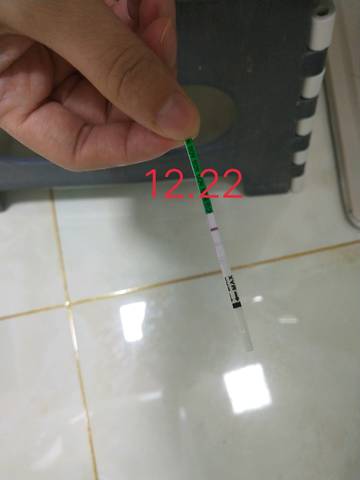 journal_insert_pic_1152774577