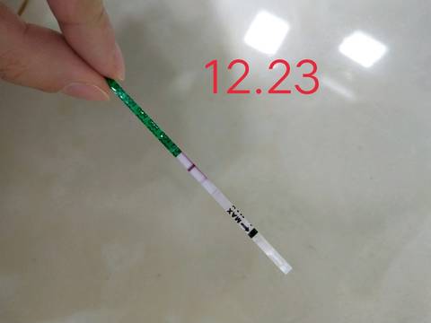 journal_insert_pic_1152774580