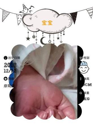 journal_insert_pic_1152765724