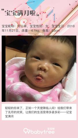 journal_insert_pic_1152804949