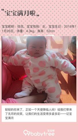 journal_insert_pic_1154777605