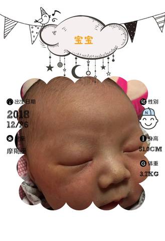 journal_insert_pic_1155165641