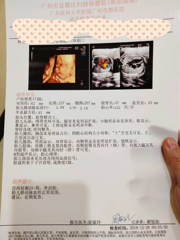 journal_insert_pic_1154708372