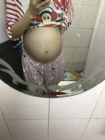 journal_insert_pic_1154698746