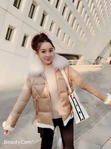 journal_insert_pic_1155428927