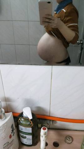 journal_insert_pic_1155418406