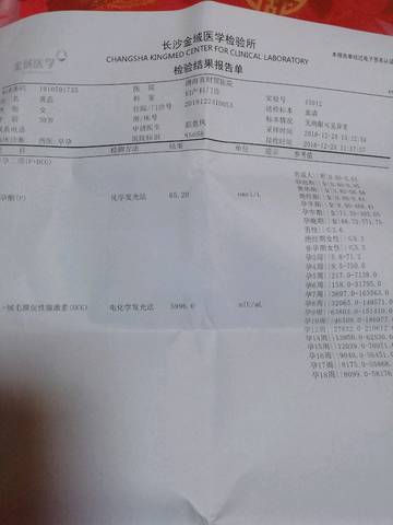 journal_insert_pic_1155989208
