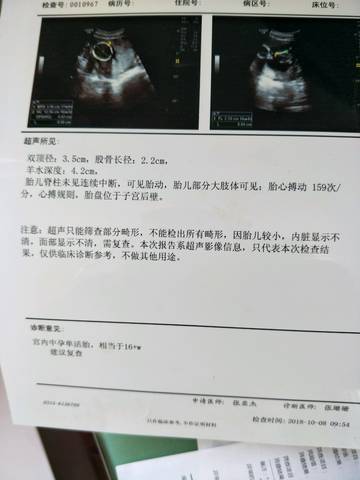 journal_insert_pic_1156024493