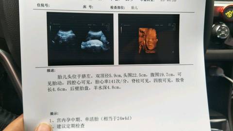 journal_insert_pic_1156024517