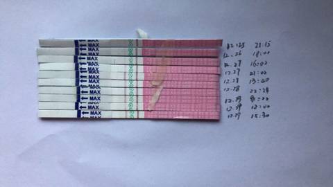 journal_insert_pic_1156522943
