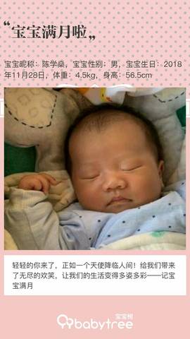 journal_insert_pic_1156346339