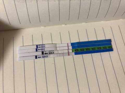 journal_insert_pic_1157629655