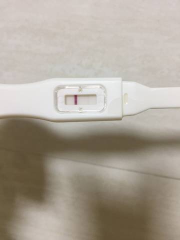 journal_insert_pic_1159090959