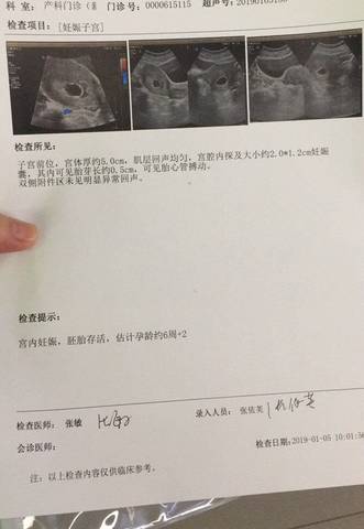 journal_insert_pic_1160290887