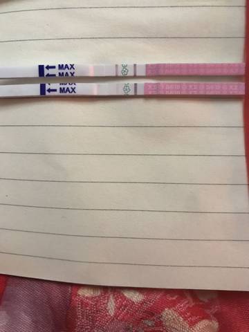 journal_insert_pic_1161097861